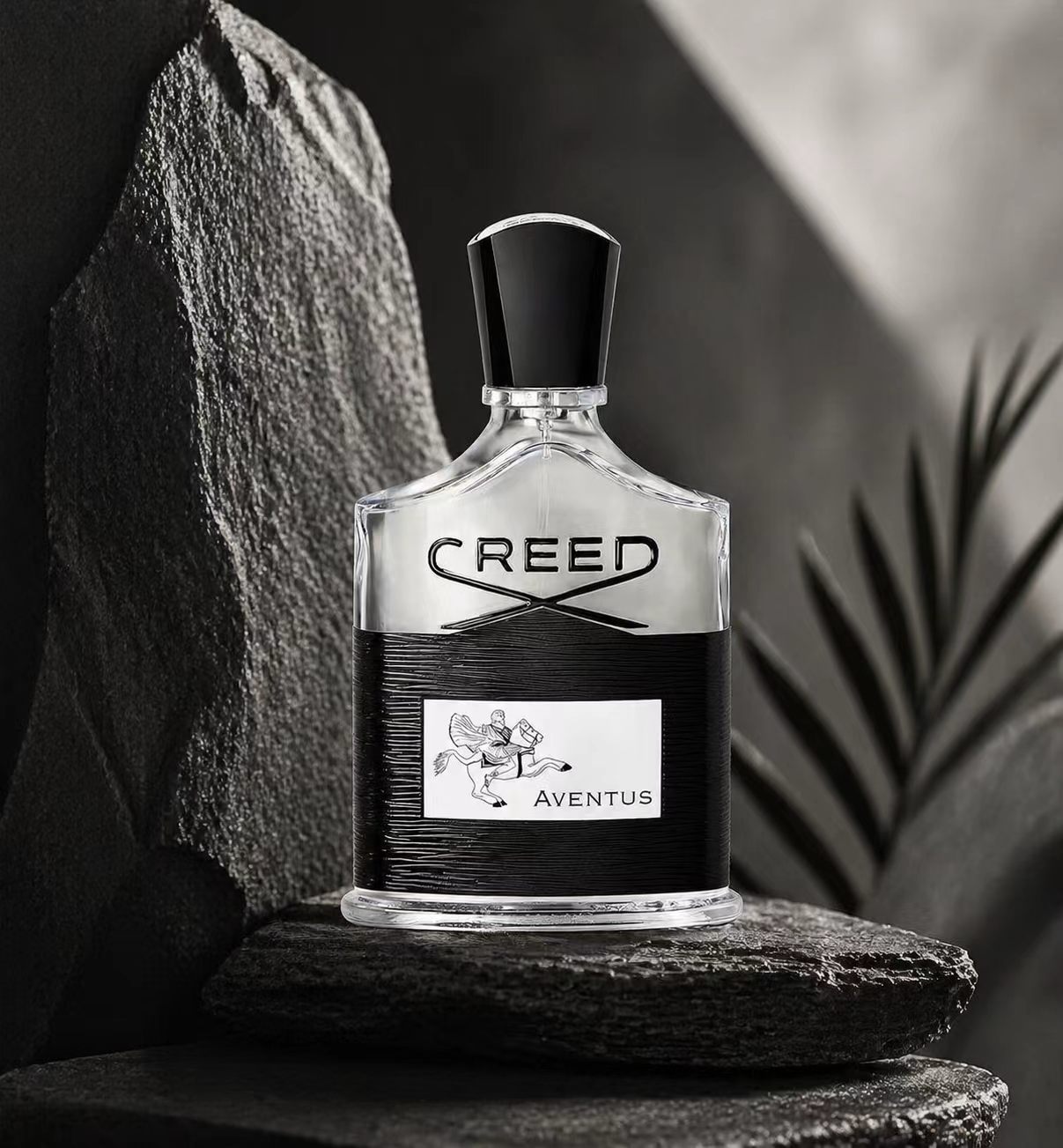 Creed Aventus: Audacious & Tim - مراجعة Creed Aventus Dupe وسعره