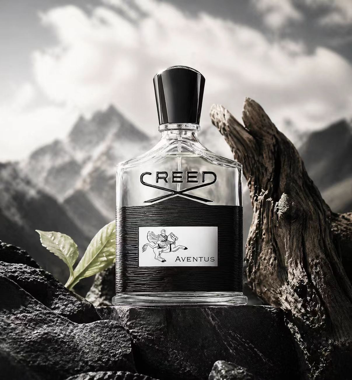 Creed Aventus: Audacious & Tim - مراجعة Creed Aventus Dupe وسعره