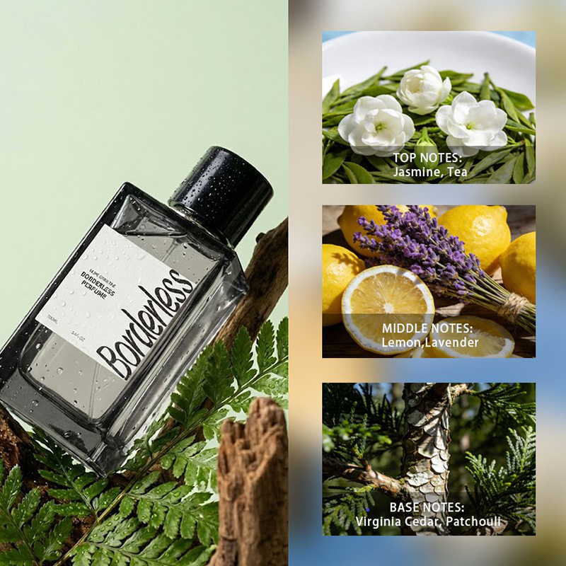 Luxury Borderless Men Perfume  - مراجعة Perfume Jasmine Fragrance وسعره